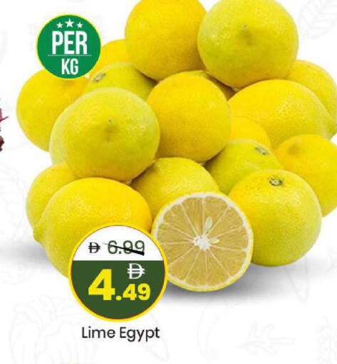 from Egypt available at مارك & سيف in الإمارات العربية المتحدة , الامارات - الشارقة / عجمان