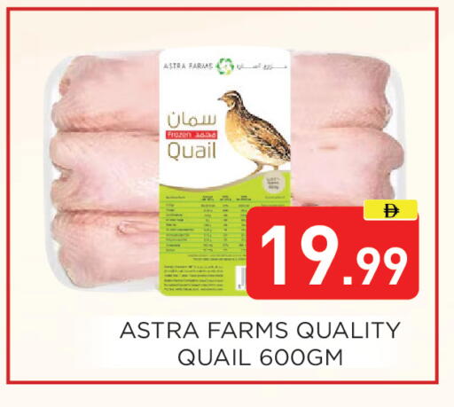 available at Ain Al Madina Hypermarket in UAE - Sharjah / Ajman