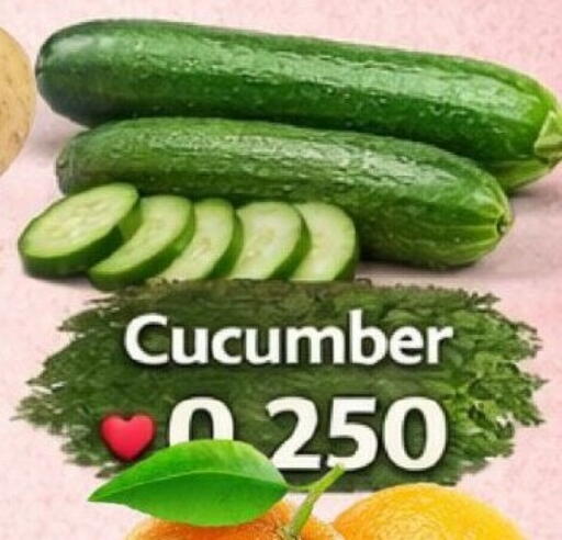 Cucumber available at Hassan Mahmood Group in Bahrain