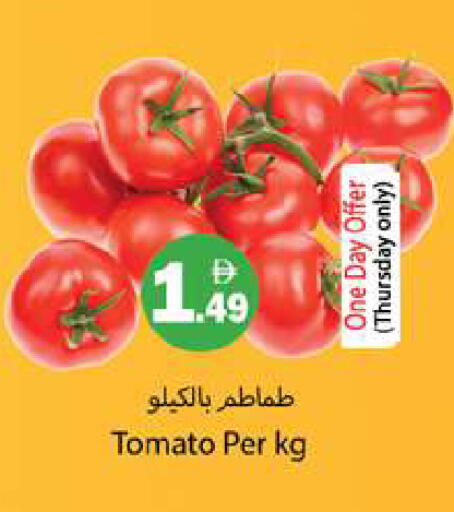 Tomato available at جلف هايبرماركت ذ.م.م in الإمارات العربية المتحدة , الامارات - رَأْس ٱلْخَيْمَة