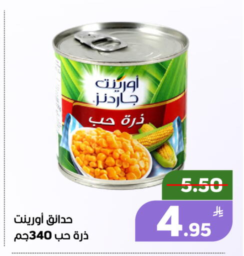 Apple available at Green Apple Market in KSA, Saudi Arabia, Saudi - Al Hasa