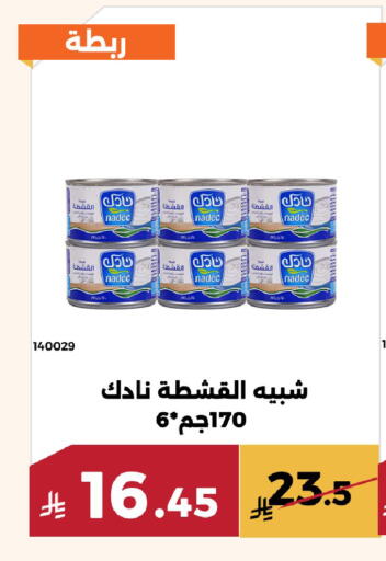 available at Forat Garden in KSA, Saudi Arabia, Saudi - Mecca