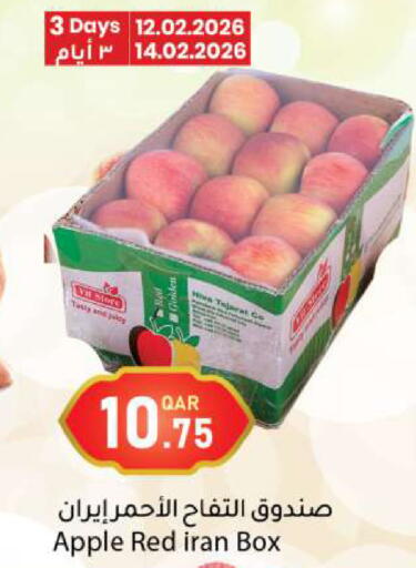 Apple from Iran available at دانا ماركت in قطر - الشمال