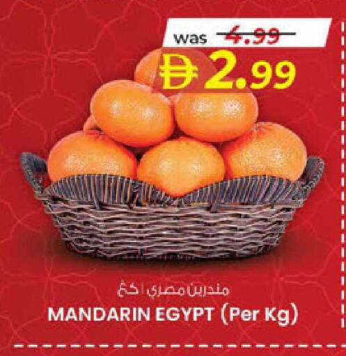 Mandarin from Egypt available at Al Safa in UAE - Al Ain