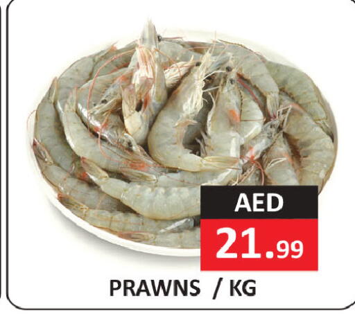 available at  RIVIERA SUPERMARKET L.L.C in UAE - Abu Dhabi