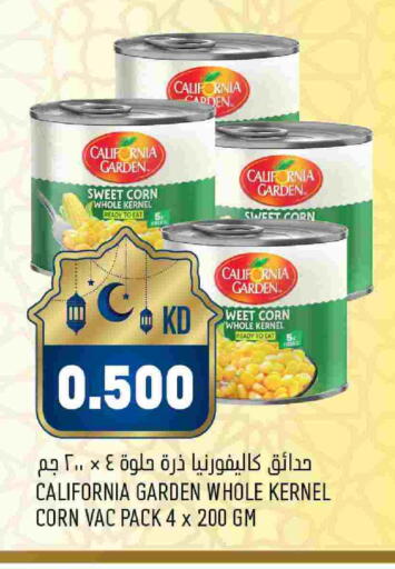 available at أونكوست in الكويت - مدينة الكويت