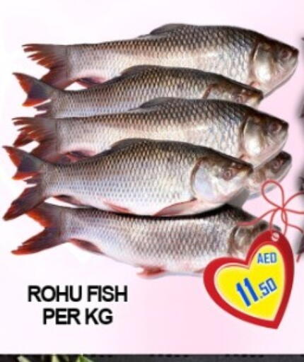 available at جرين جيفت متجر أقسام in الإمارات العربية المتحدة , الامارات - دبي