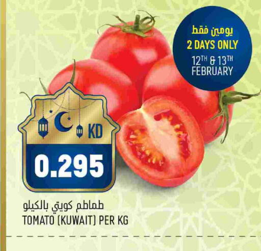 Tomato from Kuwait available at Oncost in Kuwait - Ahmadi Governorate