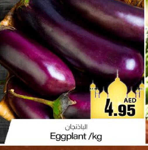 Eggplant available at Meem Sajidha in UAE - Fujairah