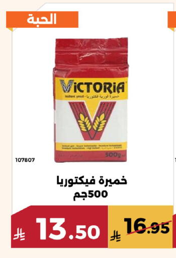 available at Forat Garden in KSA, Saudi Arabia, Saudi - Mecca