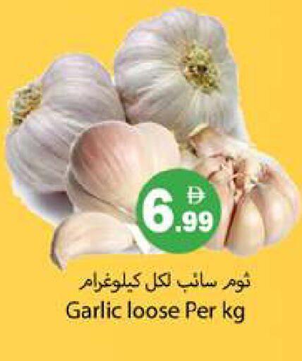 Garlic available at Gulf Hypermarket LLC in UAE - Ras al Khaimah
