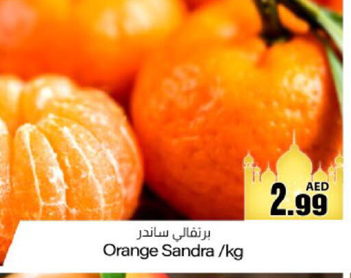 Orange available at Meem Sajidha in UAE - Fujairah