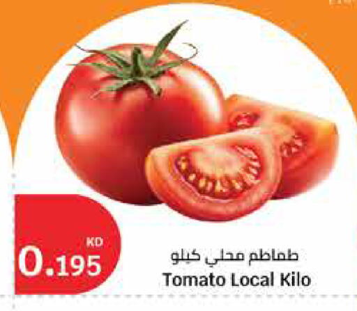 Tomato available at City Hypermarket in Kuwait - Kuwait City