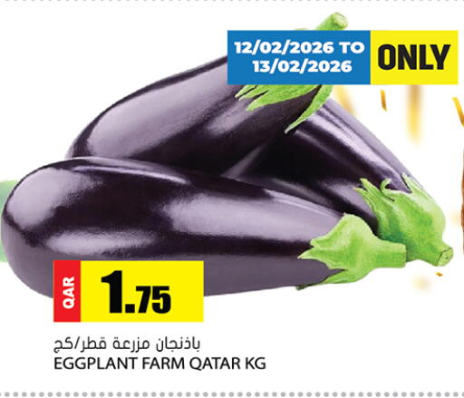 Eggplant from Qatar available at جراند هايبرماركت in قطر - الضعاين