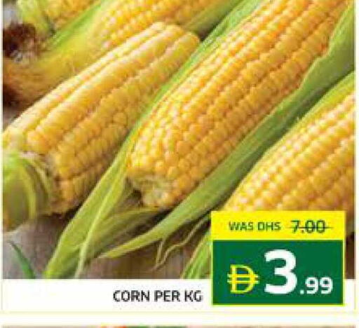 available at Seven Emirates Supermarket in UAE - Abu Dhabi