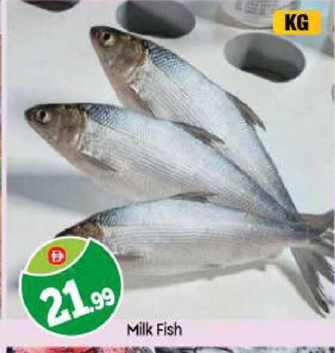 available at BIGmart in UAE - Abu Dhabi