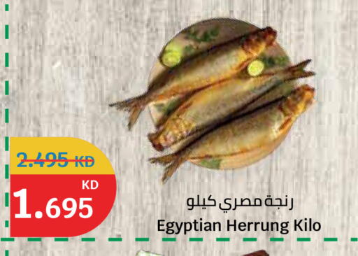 available at City Hypermarket in Kuwait - Ahmadi Governorate