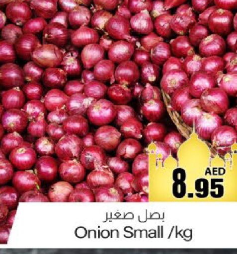 Onion available at Meem Sajidha in UAE - Fujairah