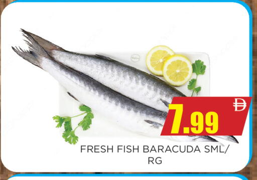 available at Ainas Al madina hypermarket in UAE - Sharjah / Ajman