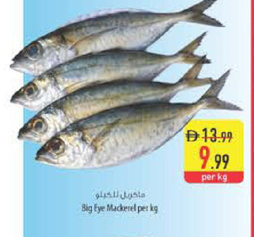 available at Safeer Market in UAE - Ras al Khaimah