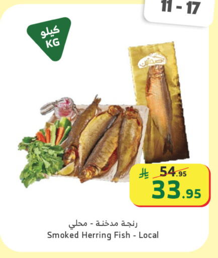 available at الراية in مملكة العربية السعودية, السعودية, سعودية - جدة