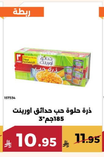 available at حدائق الفرات in مملكة العربية السعودية, السعودية, سعودية - مكة المكرمة