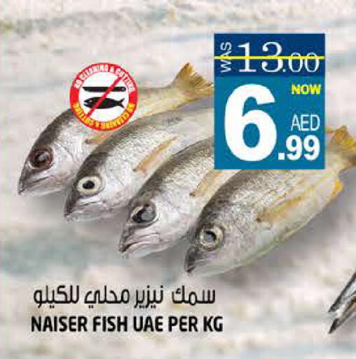 available at هاشم هايبرماركت in الإمارات العربية المتحدة , الامارات - الشارقة / عجمان