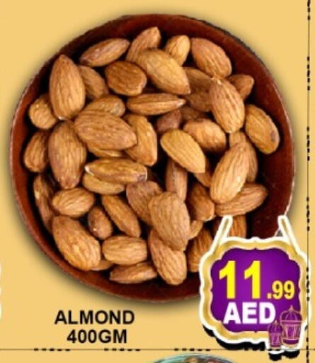 available at متجر الهدايا الخضراء in الإمارات العربية المتحدة , الامارات - أبو ظبي