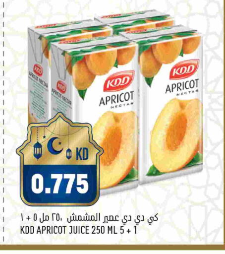Apricot available at Oncost in Kuwait - Kuwait City