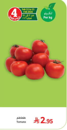 Tomato available at كبايان هايبرماركت in مملكة العربية السعودية, السعودية, سعودية - جدة