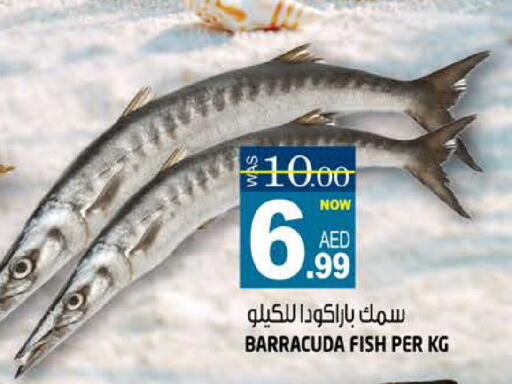 available at هاشم هايبرماركت in الإمارات العربية المتحدة , الامارات - الشارقة / عجمان