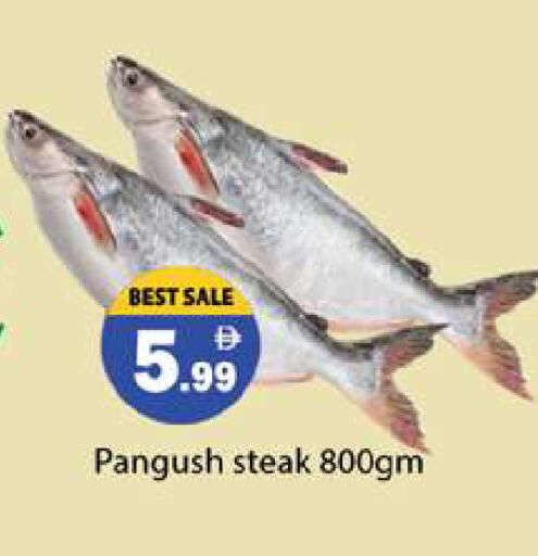 available at جلف هايبرماركت ذ.م.م in الإمارات العربية المتحدة , الامارات - رَأْس ٱلْخَيْمَة