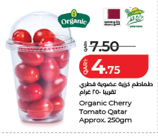Cherry Cherry tomato from Qatar available at لولو هايبرماركت in قطر - الدوحة