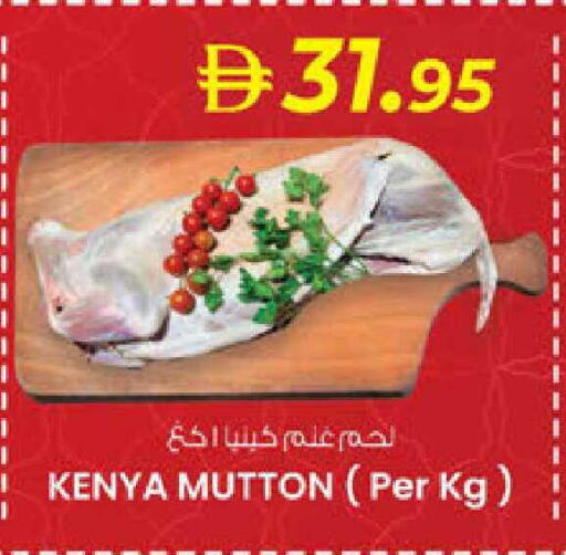 available at ك. الم. للتجارة in الإمارات العربية المتحدة , الامارات - ٱلْفُجَيْرَة‎