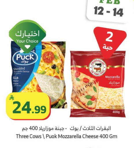 available at Al Raya in KSA, Saudi Arabia, Saudi - Mecca