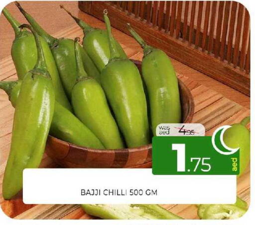Chilli available at المدينة in الإمارات العربية المتحدة , الامارات - الشارقة / عجمان