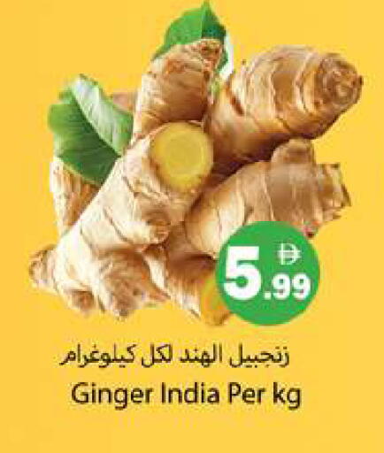 Ginger from India available at Gulf Hypermarket LLC in UAE - Ras al Khaimah