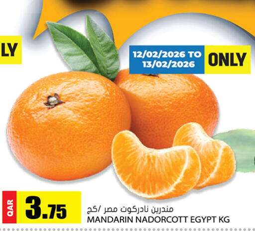 Mandarin from Egypt available at جراند هايبرماركت in قطر - الضعاين
