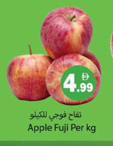 Apple available at Gulf Hypermarket LLC in UAE - Ras al Khaimah