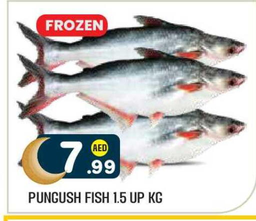 available at Baniyas Spike  in UAE - Abu Dhabi