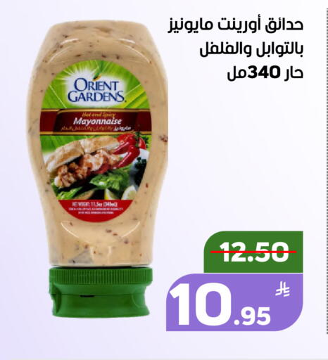 Apple available at Green Apple Market in KSA, Saudi Arabia, Saudi - Al Hasa