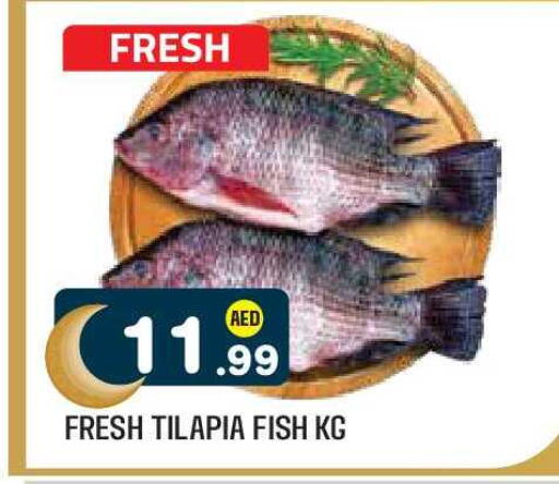 available at Baniyas Spike  in UAE - Abu Dhabi