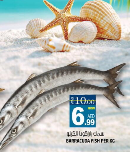 available at هاشم هايبرماركت in الإمارات العربية المتحدة , الامارات - الشارقة / عجمان