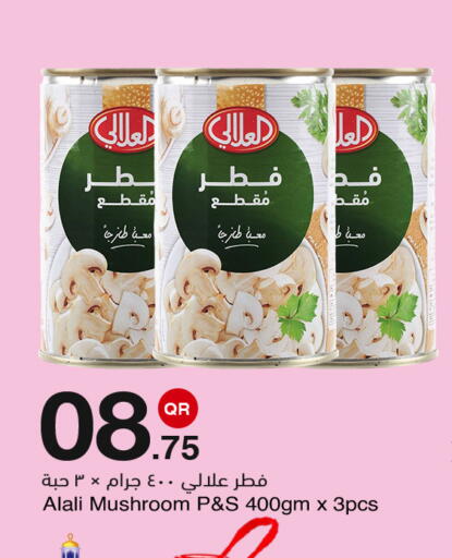 Mushroom available at مجمع التسويق العائلي in قطر - الدوحة