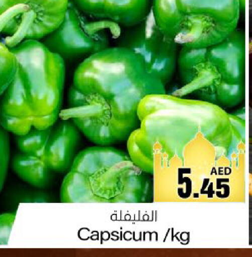 Capsicum available at Meem Sajidha in UAE - Fujairah