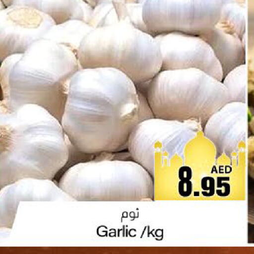 Garlic available at Meem Sajidha in UAE - Fujairah