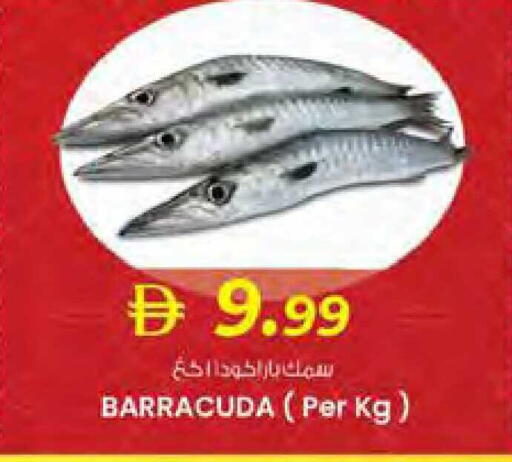 available at صفا هايبر in الإمارات العربية المتحدة , الامارات - ٱلْعَيْن‎