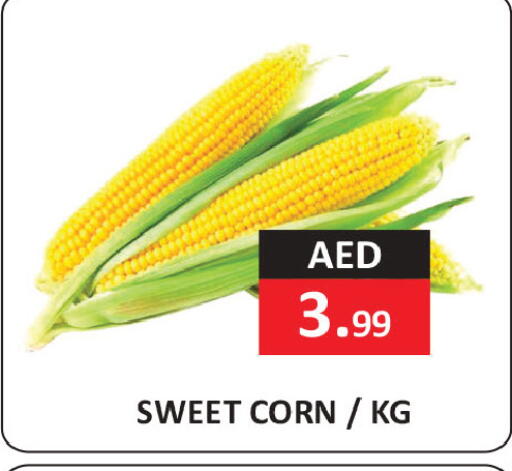 available at  RIVIERA SUPERMARKET L.L.C in UAE - Abu Dhabi