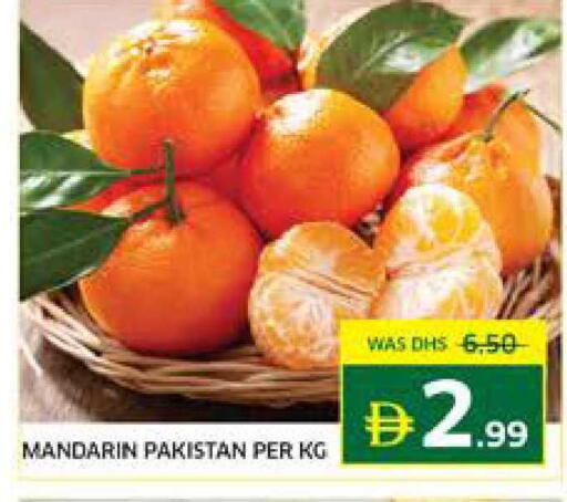 Mandarin from Pakistan available at Seven Emirates Supermarket in UAE - Abu Dhabi