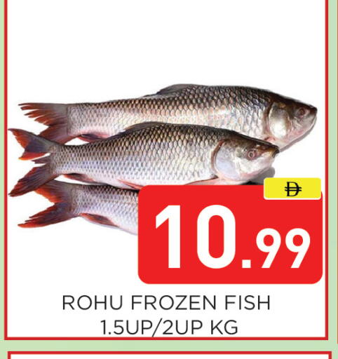 available at Ain Al Madina Hypermarket in UAE - Sharjah / Ajman